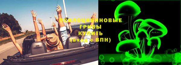 бошки Алзамай