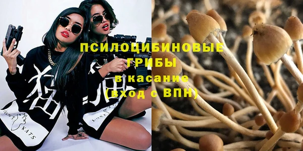 бошки Алзамай