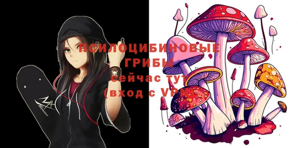 МДМА Алексеевка